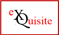 Exquisite Company